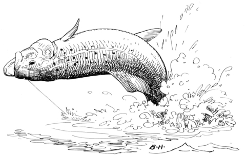 Trout Jump Coloring Page